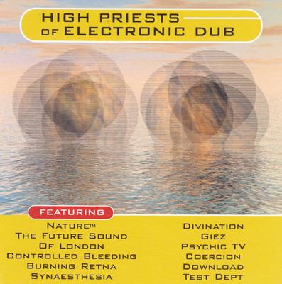 CD VERSCHIEDENE - Hohepriester der Elektronik  CLP97572 Hypnotic 1996 US Dance & Electronica Gebraucht