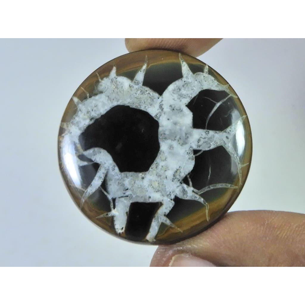 62Cts.Natural Septarian Gronates Round Cabochon Loose Gemstone 34X34X04 MM D-534