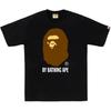 A Bathing Ape By Bathing Ape T-shirt 0ZXTEMX00210P