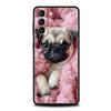 Cute Pug Dog Phone Case For Samsung Galaxy S24 S23 S22 S20 Ultra S21 FE 5G S10 S9 Plus S10E S8 Soft Silicone Cover