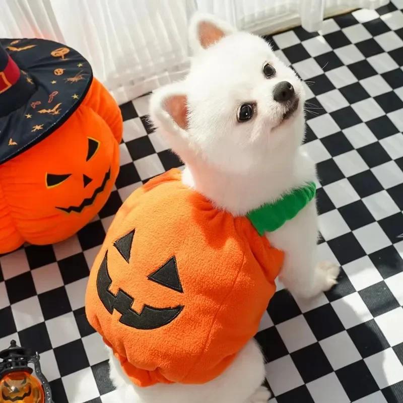 Funny Halloween Dog Costume Pumpkin Lantern Transformation Outfit with Cute Pumpkin Hat Two-Legged Pet Jacket for Dogs And Cats