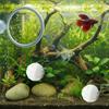 Pești și animale marine – Întreținerea acvariului
