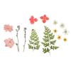 Jewelry Making Photo Props Resin Filler Beauty Decal Dried Flowers Resin Mold Filling Flower
