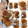 Série Voyage Sportif Capybara Animaux Peluches Dessin Animé Kapibala Sac de Transport Football Skateboard Natation Glace Cadeaux
