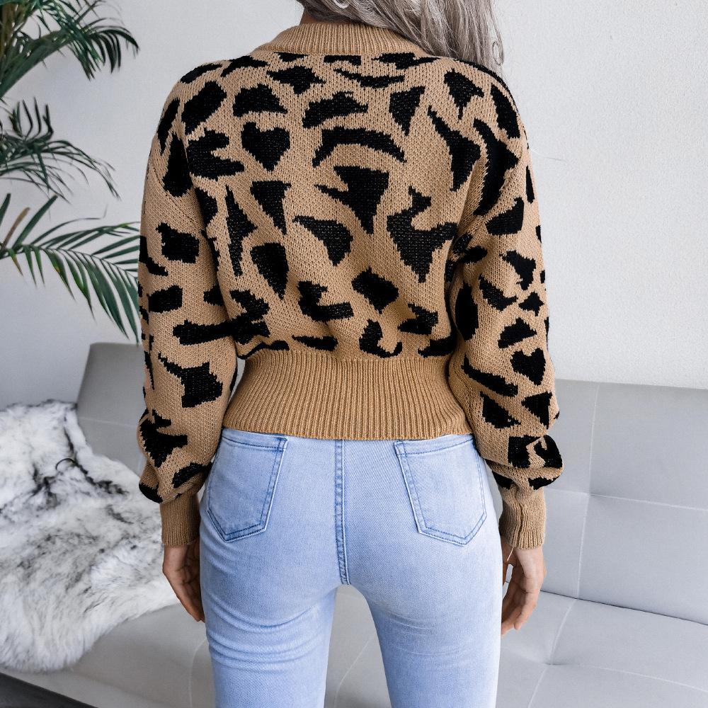Women Autumn Winter Leopard Print Knitted Crop Sweater Long Sleeve O Neck Nipped Tops Sizes S To L