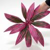 1Pcs Desktop Design 55Cm Large Artificial Dragon Blood Tree Faux Brazilian Wood Plant Decor For Living Room With Life-Like Green