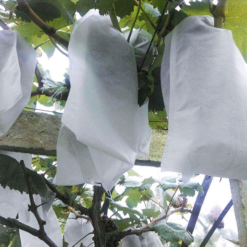 100Pcs Garden Grapes Fruit Protection Bags Cover Plant Nursery Bag Pest Control Anti-Bird Non-Woven Fabric Bag Gardening Protect