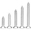 304 Stainless Steel Flat Head Self-Tapping Screw Set - Countersunk Cross, M2/M3/M4