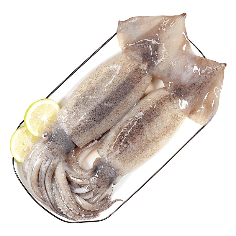 Fuhaijin Frozen Squid Products