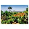 Puzzle 1000 pièces - nathan jeux - ravensburger - botanique - paysage et nature - multicolore