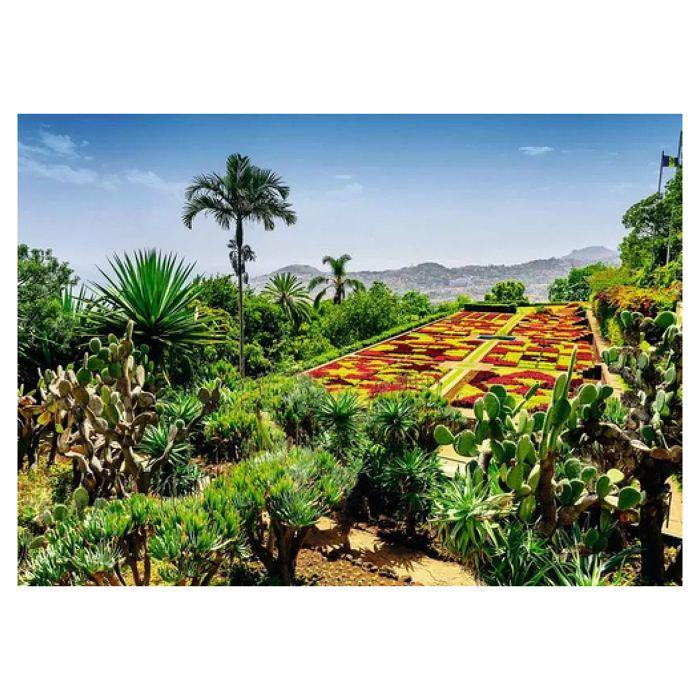 Puzzle 1000 pièces - nathan jeux - ravensburger - botanique - paysage et nature - multicolore