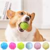 1PC Bouncy Ball Dogs Interactive Toys Dog Pet Teeth Cleaning Chew Training Toys Bite Resistance Squeaky Dog Ball Toy Pet Supplie