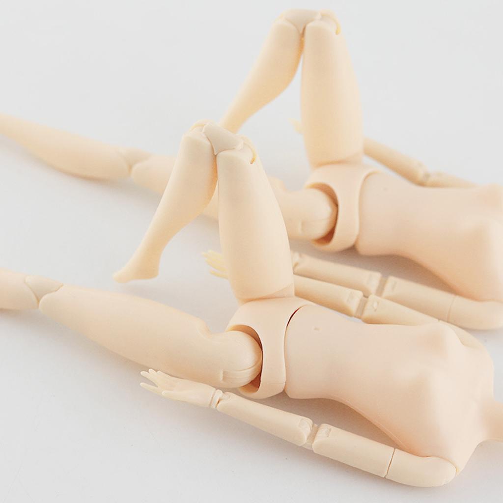 30cm Human Body Figure Model Educational Realistic Male Female Human Body Structure for Kids Scientific Cognitive Toys