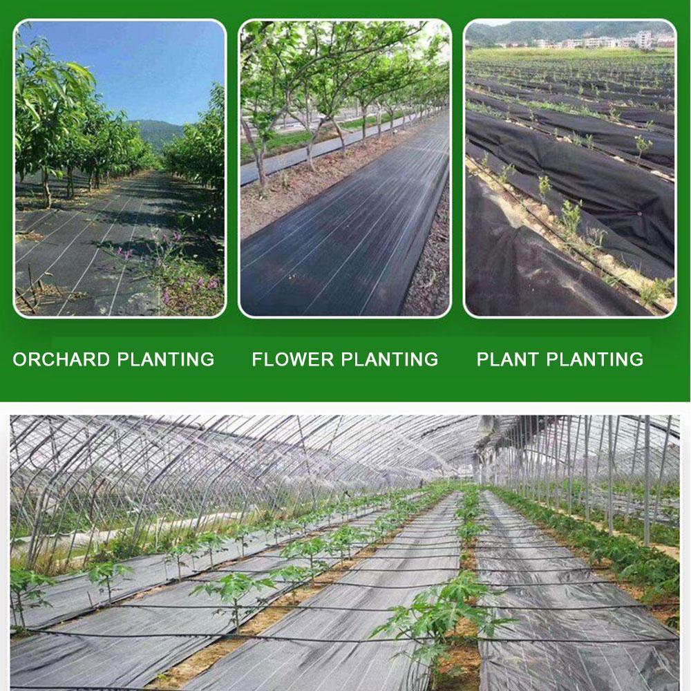 Membrana per Paesaggistica Giardino Esterno Viale Pavimentazione Agricoltura Fioriera Facile Installazione Tessuto per Controllo Erbacce Bordo Anti UV