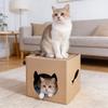 Cardboard House With Scratching Board, Corrugated Cardboard Cave And Scratching Toy, Suitable For Indoor Cats And Kittens To Sleep And Play.