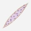 Dot Kinoko Neck Scarf (L.PURPLE)