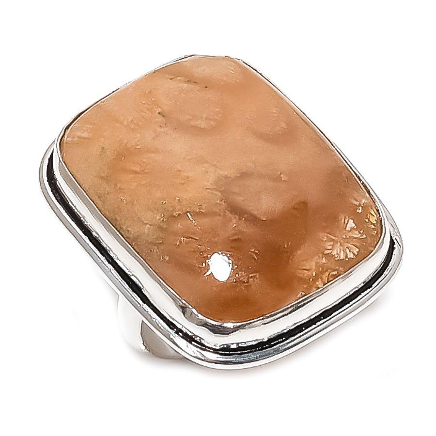 Fossil Coral Gemstone 925 Sterling Silver Jewelry Ring Size 8