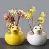 Cute Succulent Plant Flowerpot Handicraft Hydroponic Flower Holder  Dried Flower