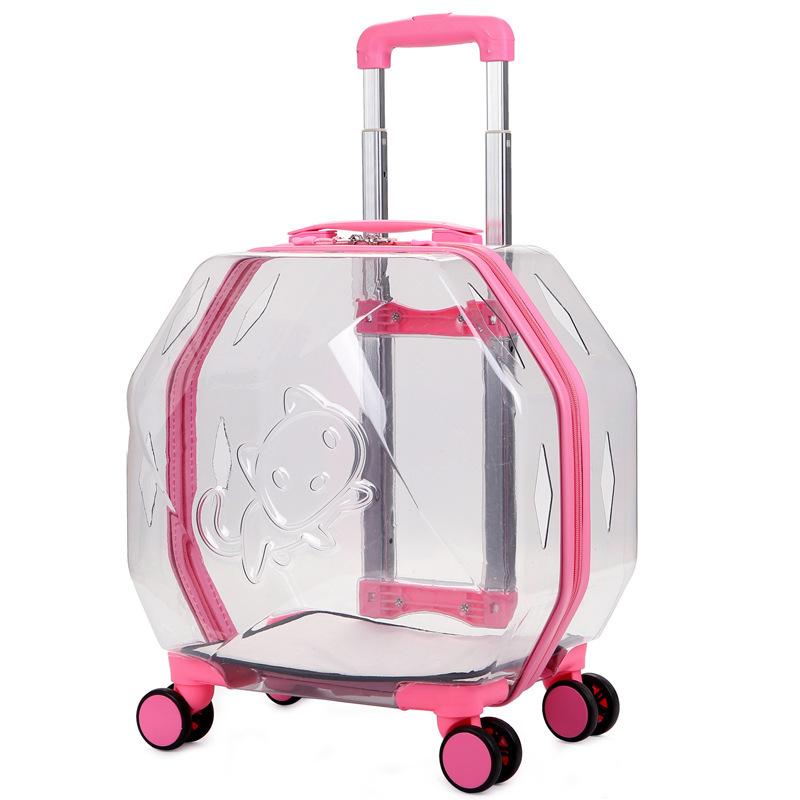 Valise transparente pour animaux de compagnie, grande capacité, valise de voyage pour chien, boîte à bulles Portable d'extérieur, boîte d'aviation 