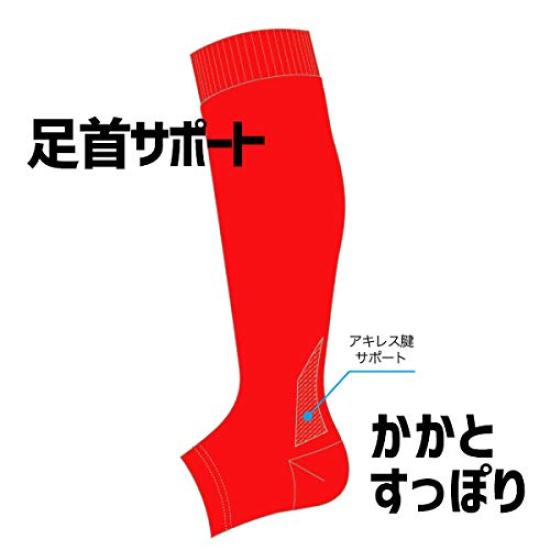 DESCENTE Color Stockings ROY F L-Shaped C-8403 (Royal Blue)