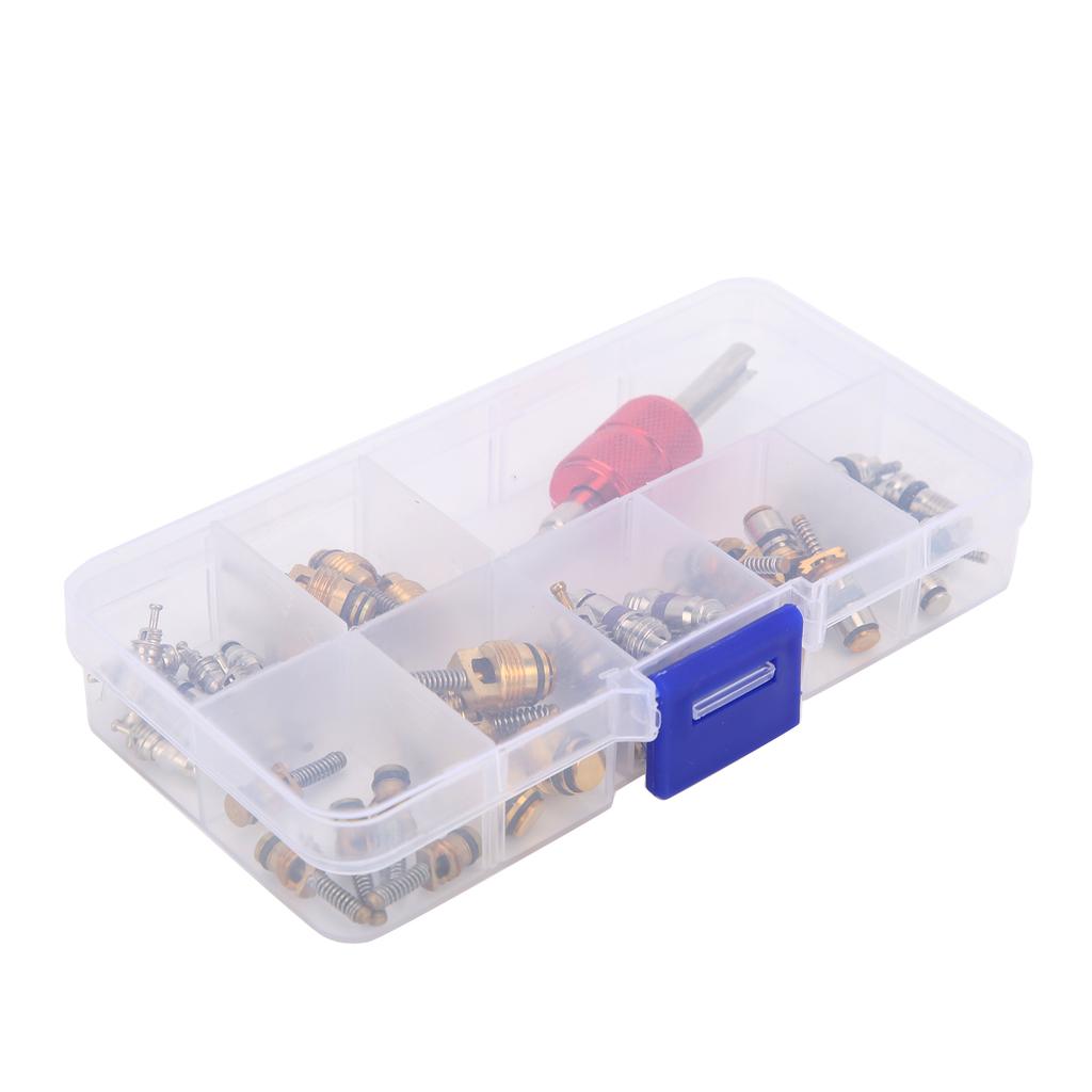 40PCS Car Air Conditioner Valve Core with Remover Tool 5101791AA   5189373AA Replacement for Chrysler