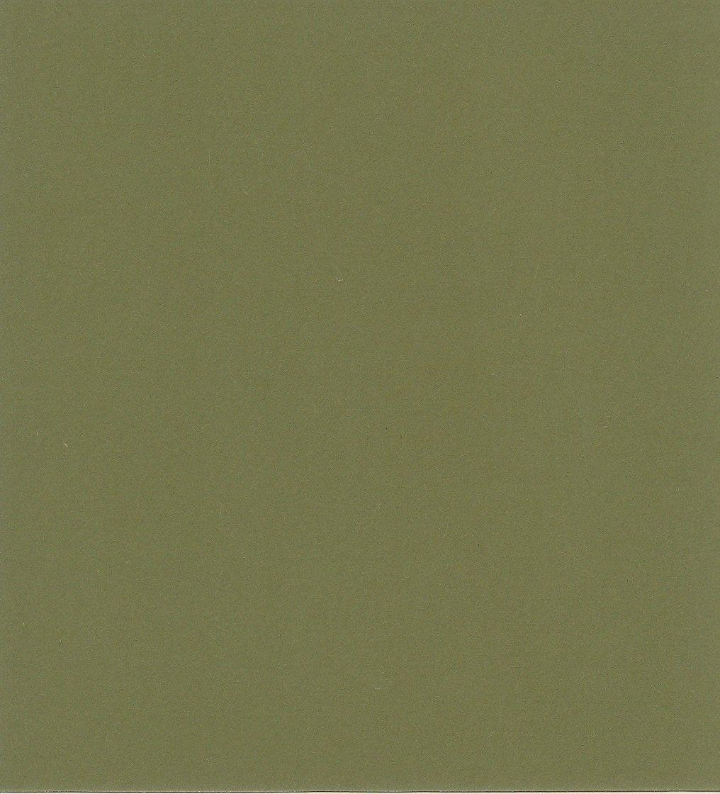 

Eskent Kent Paper Star Color Eight Cut Olive 100 Sheets 5744008 оливковий