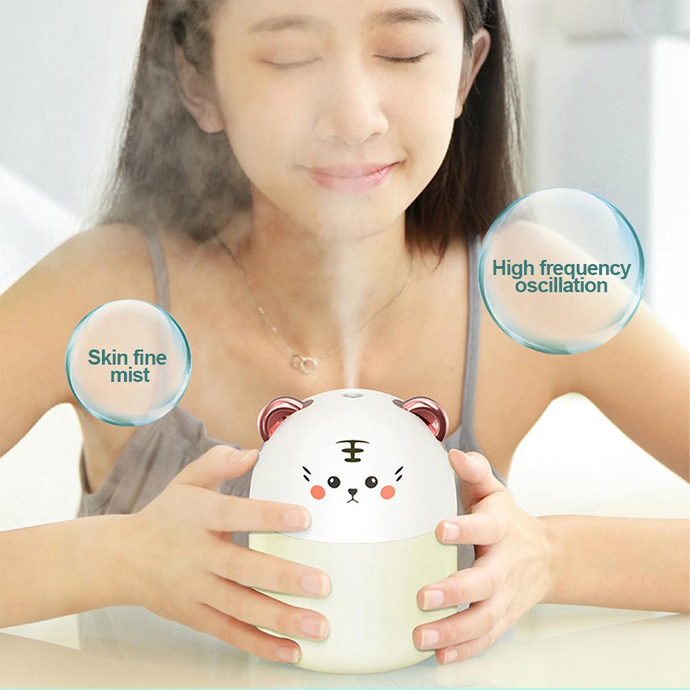 Mini Humidifier With Colorful Night Light 250ml Large Capacity Home Desktop Cool Mist Aroma Diffuser Purifier