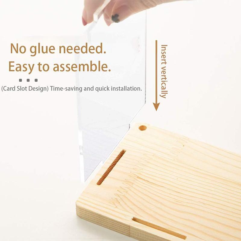 Klares Display-Regalgehäuse, Ausstellungsständer, 2/3-lagiges Lagerregal für Dekoration, Actionfiguren, Sammlerstücke, Spielzeug