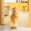 Retractable Pet Playpen Fence Folding Barrier Pet Safety Enclosure Black/White Universal Child Barrier Fences Home