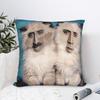 Vtipný N-Nicolas C-Cage Picolas Cage Potah na polštář s kočkou Pohodlný potah na polštář Moderní povlak na polštář na pohovku, do ložnice, domácí dekorace