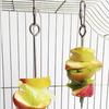 Stainless Steel Small Parrot Toy Meat Kabob Food Holder Stick Fruit Small Animal Skewer Bird Treating Tool