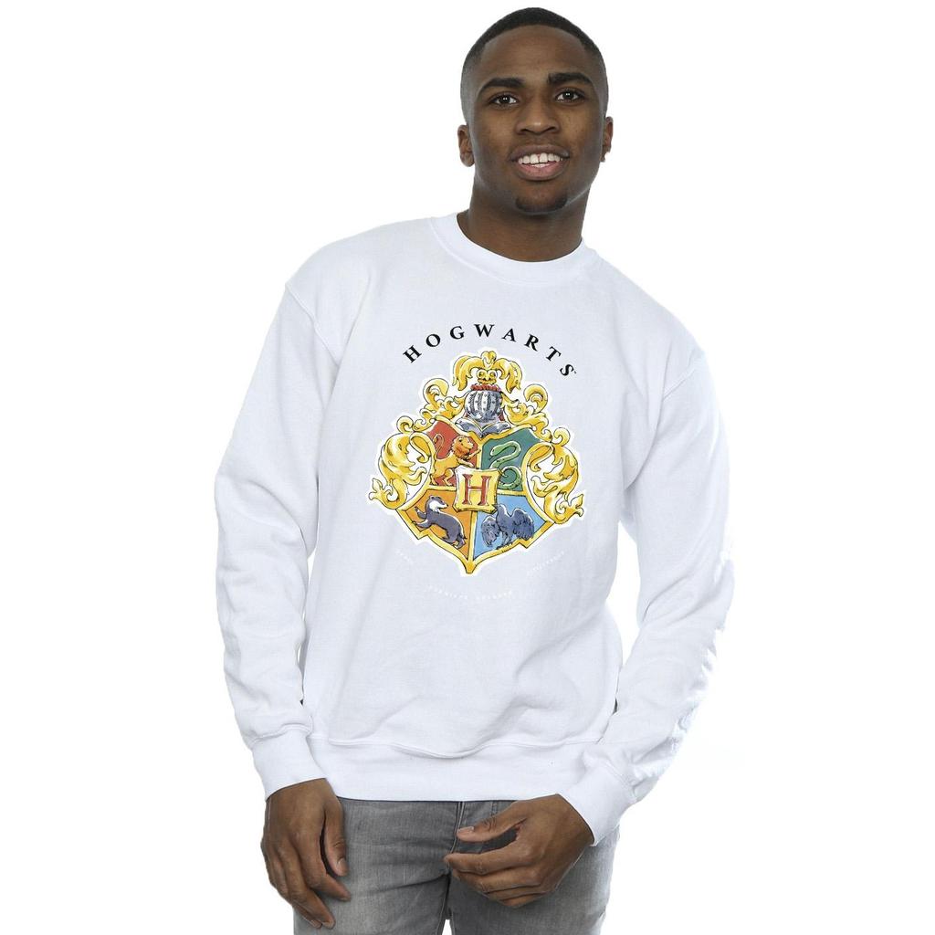HARRY POTTER Mens Hogwarts School Emblem Sweatshirt