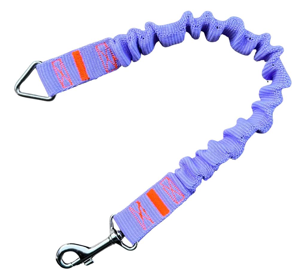 Shock Absorber for Dog Leash WRZOS Traditional Sports Leash