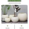 Nordic Spherical Resin Flower Pot - Versatile & Durable for Indoor/Outdoor Use, Large Diameter
