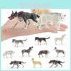 Childrens Animal Figurines Pvc Collection With Realistic Wolves And Huskies For Learning And Display