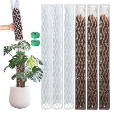 Pali di Muschio per Monstera 16 Pollici in Plastica a Forma di D Pali di Muschio per Piante Supporto per Piante Rampicanti Funziona con Muschio di Sfagno per la Crescita di Piante da Interno