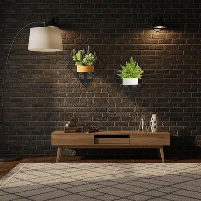 Stabile schwimmende Metall-Wand-Pflanzenregale Metall Rostbeständig Innen-Fenster-Pflanzenhalter Schwebendes Design Einfache Montage