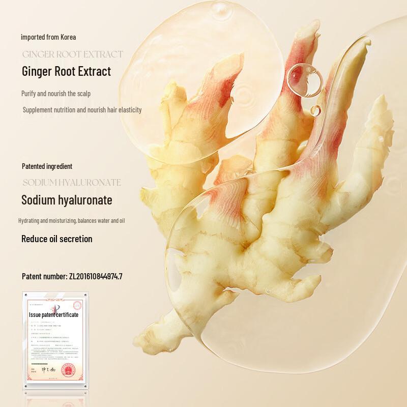 Zhi Duo Ingwer Ausgleichendes & Feuchtigkeitsspendendes Shampoo