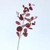 1/3pcsArtificial Plant Long Stems Eucalyptus Leaf Leaves Plants Money Leaf Decor Wedding Shooting Prop Home vase table Diy Decor