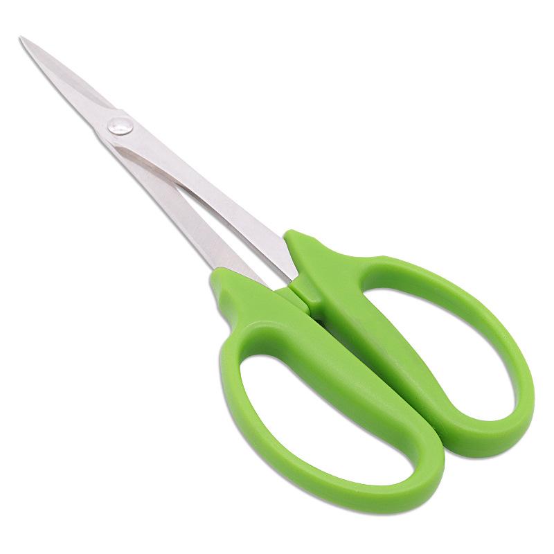 Stainless Steel Garden Shears for Pruning Bonsai and Potted Plants