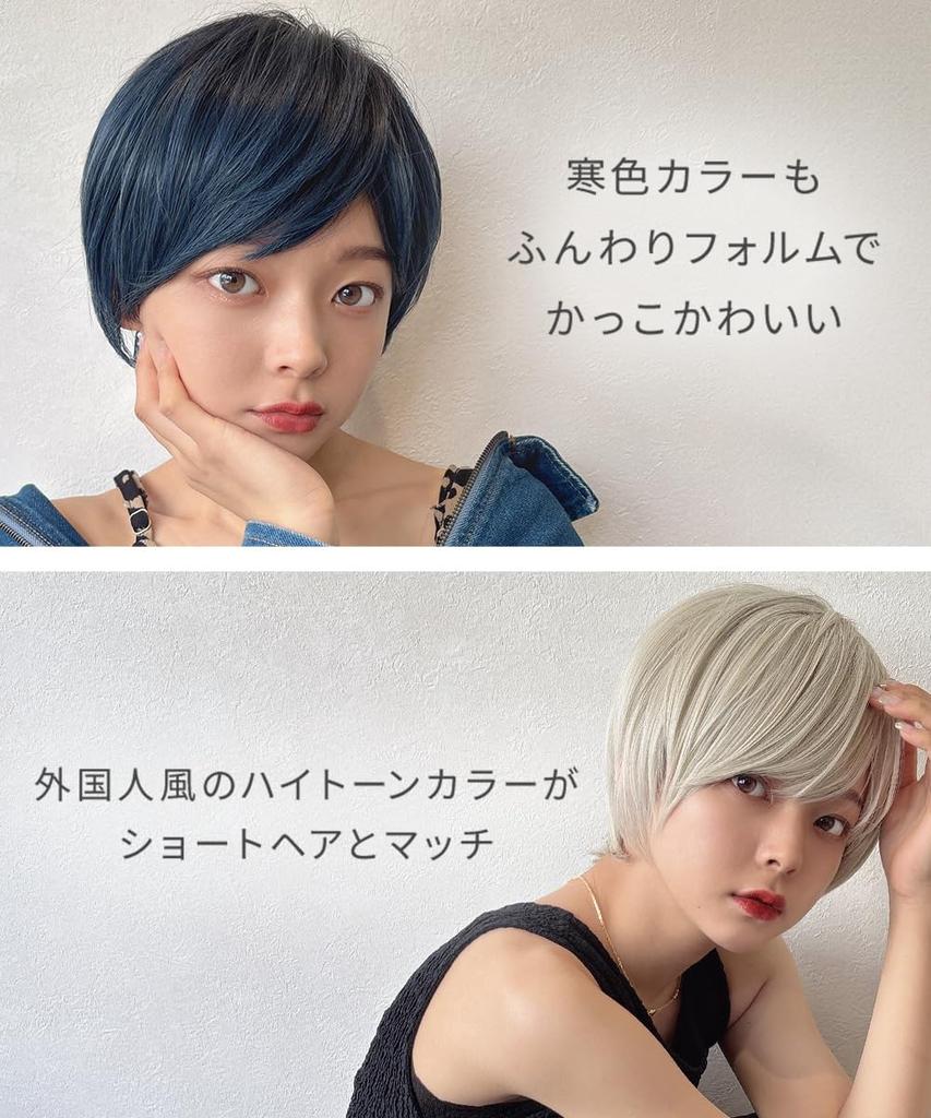 AQUADOLL Short Full Wig, High Tone, Ash, Blonde, Greige, Brown, Free Size, JBK. Japanese Black (wg346JBK)