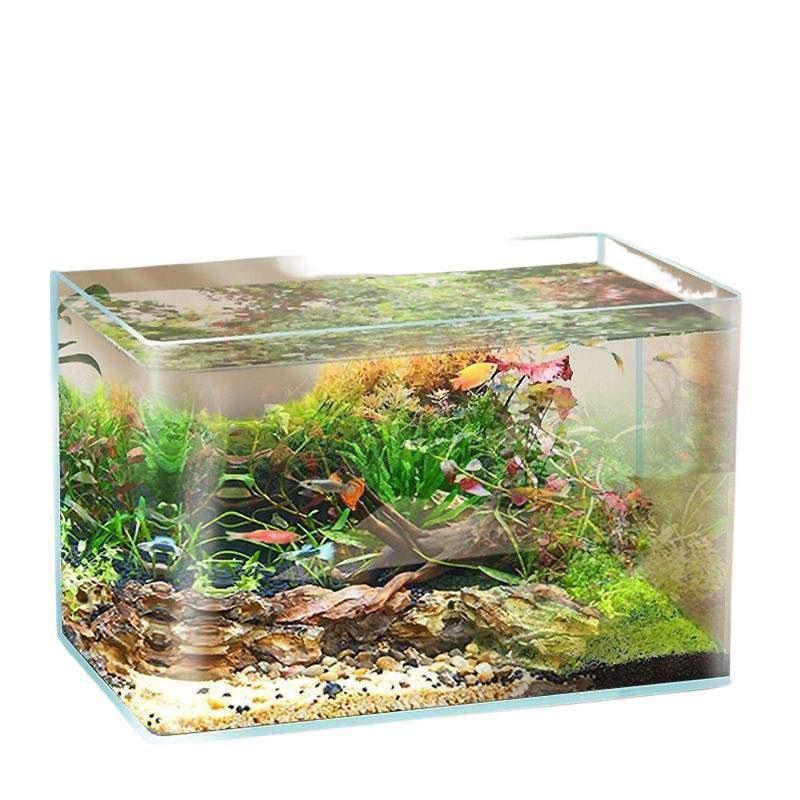 Acuario de Cristal Dorado Ultra Blanco para Salas de Estar, Oficinas, Vestíbulos de Hoteles - Pantalla Ornamental Grande