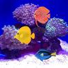 Artificial Fish Aquarium Silicone Floating Movable Fake Fish for Fish for Tank