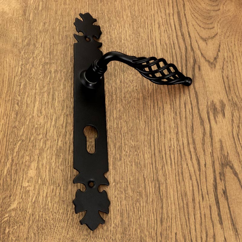 LAGOS door handle with plate for 72mm insert, BLACK