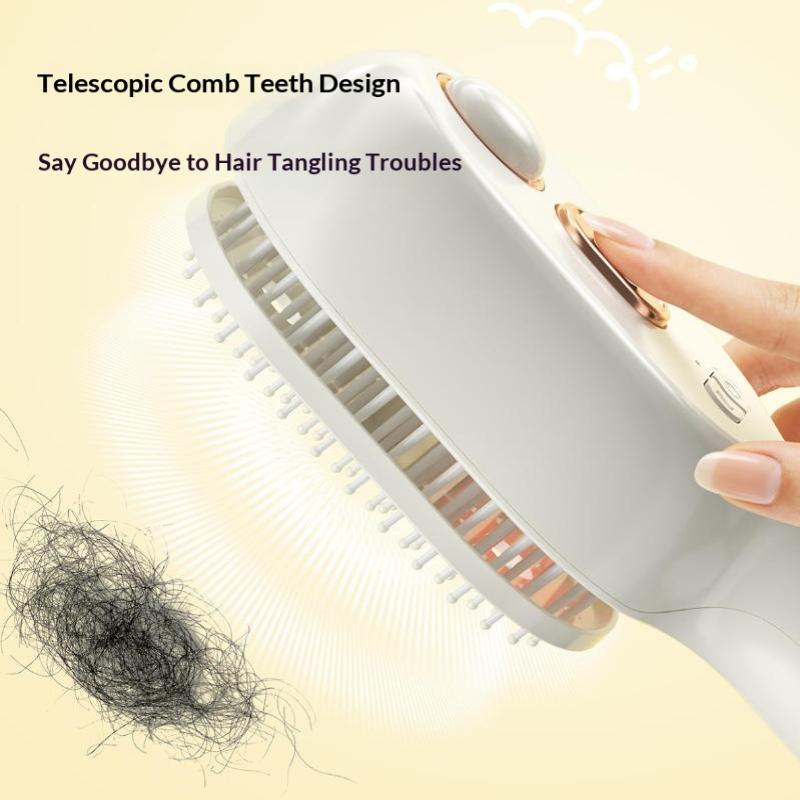 Electric Steam Brush With Water Spray Wet Electrics Hairbrush Usb-C Charging For Detangling Smoothing Styling & Frizz Control