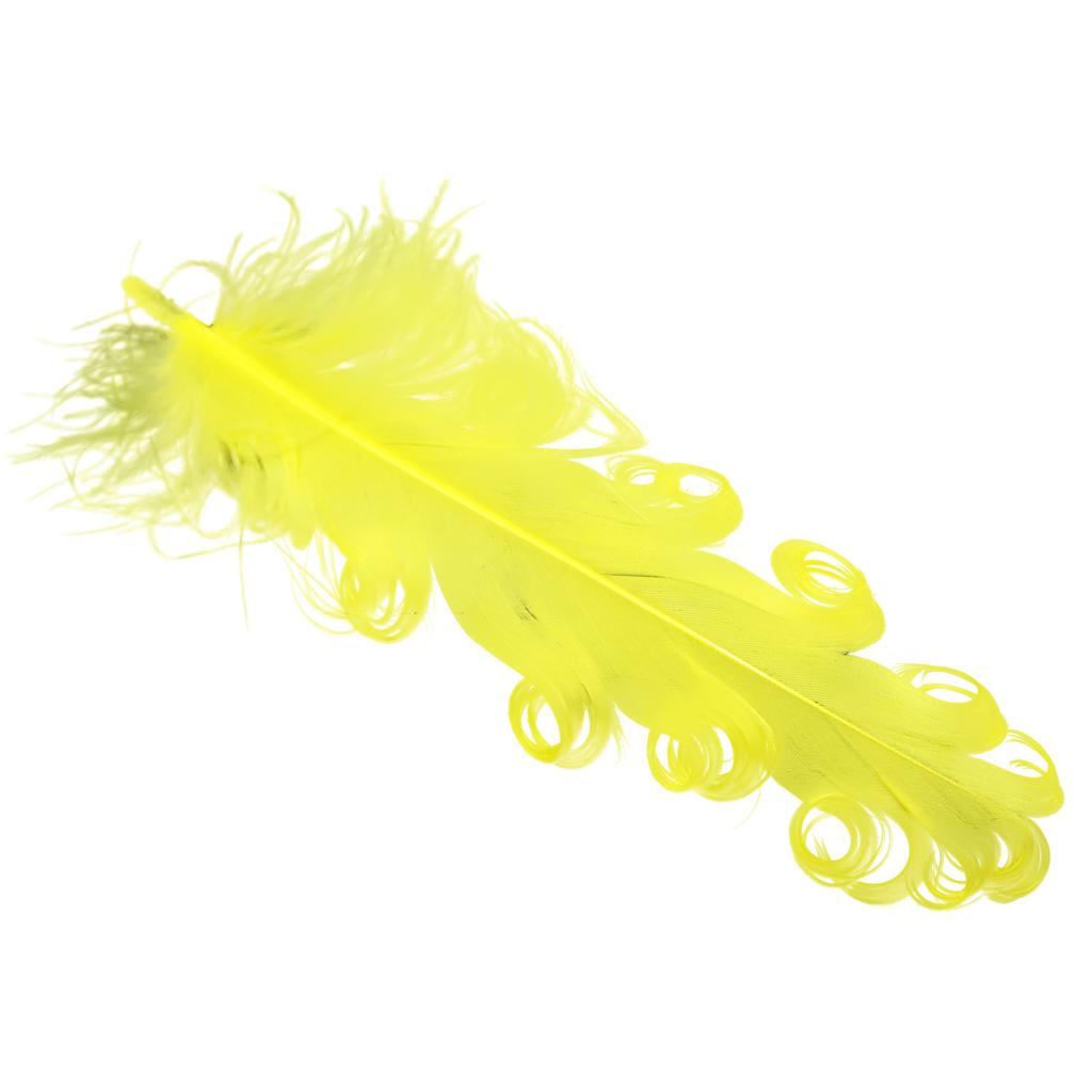 FeatherYellow Feathers for Crafts, 31 Styles Natural Pheasant, Rooster, Duck Feathers Bulk for Costume DIY, Fly Tying,Party Decoration