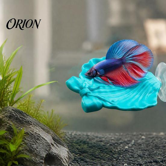 Betta Habitat Decor Hammock Shell, Suction Cup Shell with Bow Fish Bed, Shape Resting Spot Bubble Nesting Bed for Tank Pet Enrichment