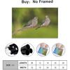 Two Beautiful Mourning Dove Bird Stand Branches Spring Animals Room Aesthetics Posters Canvas Posters Bedroom Decoration Sports Office Decoration
