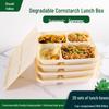 Eco-Friendly 4-Compartment Disposable Lunch Boxes
