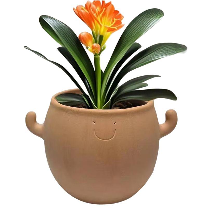 

M-Modern-Decorative Plant Pots Home Decoration Smiling Face Planter For Garden For Balcony Bonsai Yard Men Desk Workplace